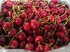 Черешня сорта Наполеон из Турции