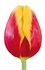 Тюльпаны оптом на 8 марта Denmark Триумф