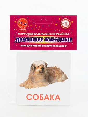 Bebek Gelişim Kartları