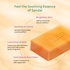 Nisha Soaps for Bath 100g Saffron & Sandal, Enriched with Natural Ingredients, Grade 1 Soaps, Ideal for All Skin Types