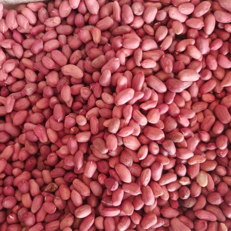 Ядро арахиса