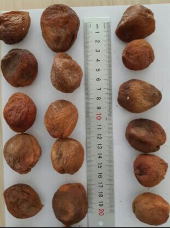 Dried apricot