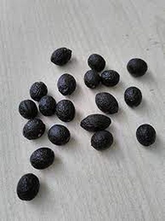 Масло семян лавра