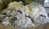 Sheep wool, not washed, not combed
