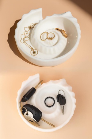 Подставка-органайзер в форме аммонита