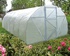 Теплица "Дачная-2Д"