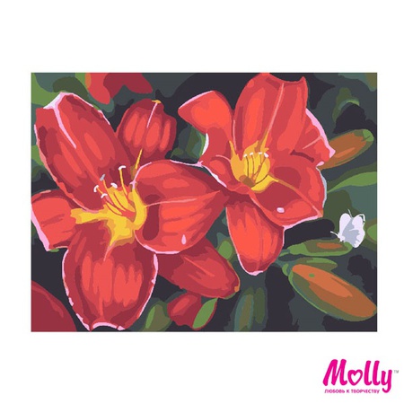 Картина по номерам Садовые лилии