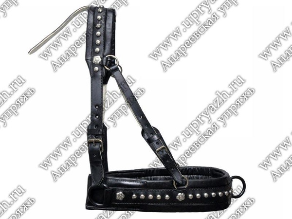 Шорка выездная