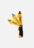 Dewalt DCF008 45p 8V Max Electric ScrewDriver Set DCF008