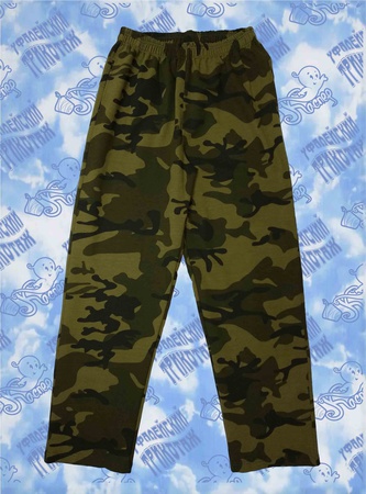 Брюки мужские 02-62053