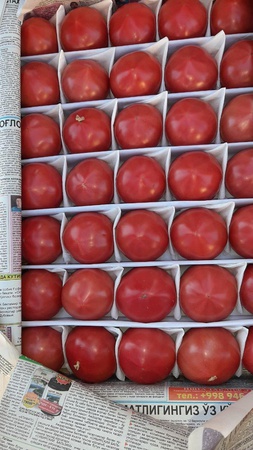 ОВОЩИ И ФРУКТЫ