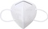 N95 Face Mask
