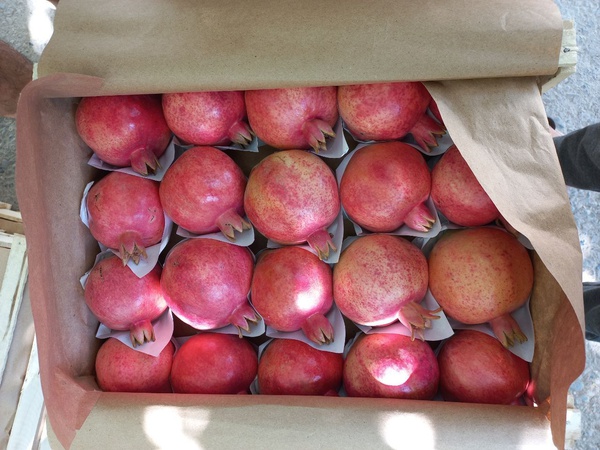 taze nar ihracata hazır ve diğer meyveler