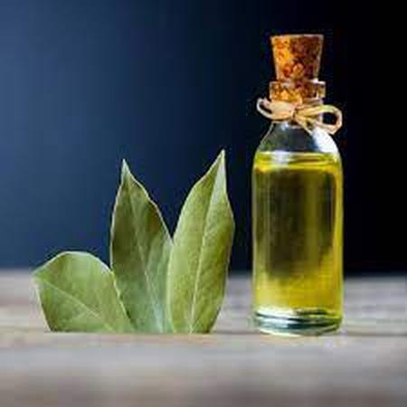 Масло семян лавра