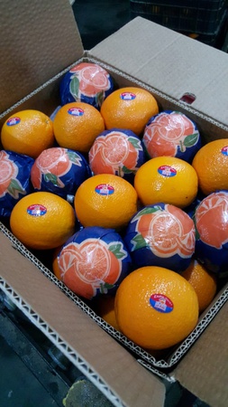 Апельсины сорт Navel