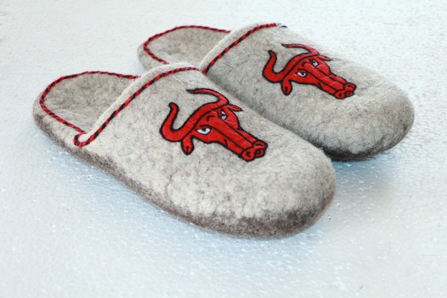 Тапочки Чикаго Булс