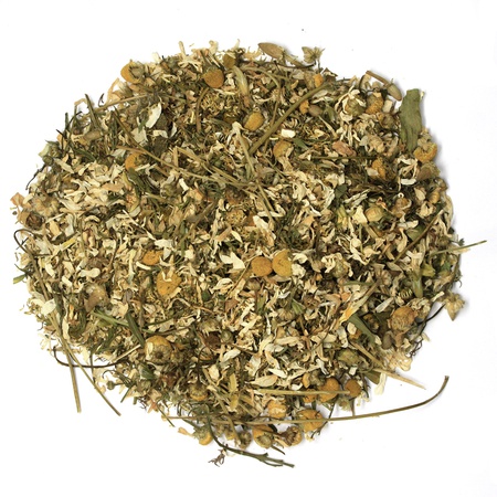 洋甘菊花全白俄罗斯