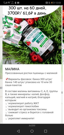 Ростки пшеницы