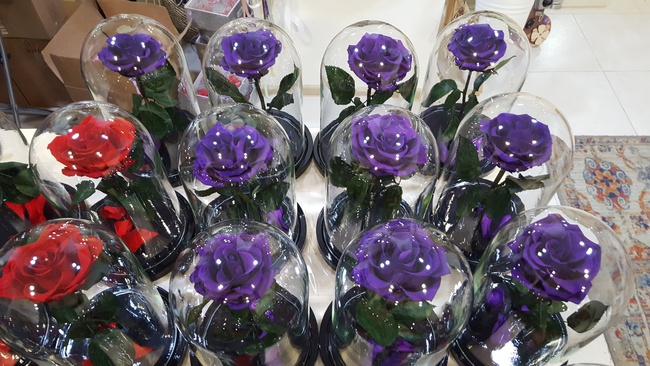 Роза в колбе 28см премиум пурпурный