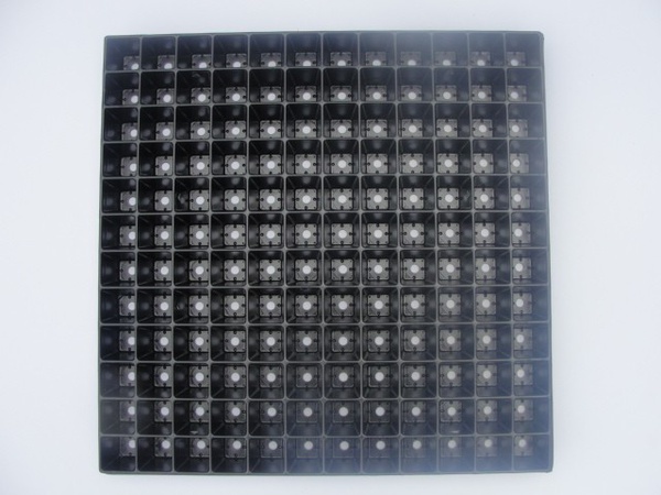 Seedling cassette 144 cells