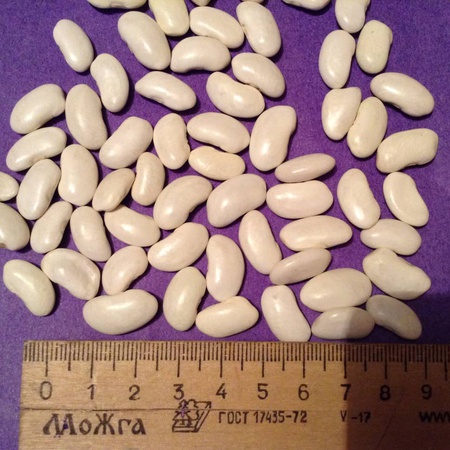 Kırgızistan&#39;da yapılan toptan fasulye