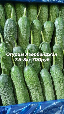 Оптом ягоды, фрукты и овощи