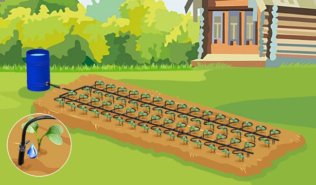 Вставка для системы полива "Водомерка ЭКО"