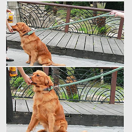 Комплект поводка и ошейника для собак мелких пород, черный