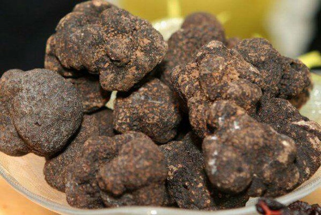 Wholesale: Truffles
