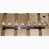 Marketable garlic