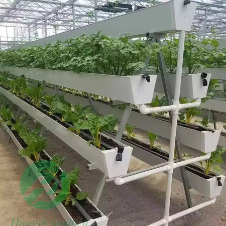 Agricultural greenhouse hydroponic system for growing strawberries and more