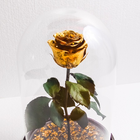 Bir matara içinde gül 28cm premium altın