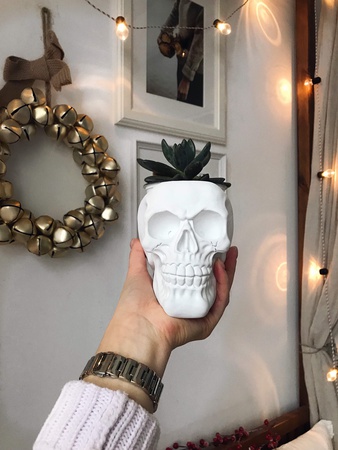 Череп Кашпо