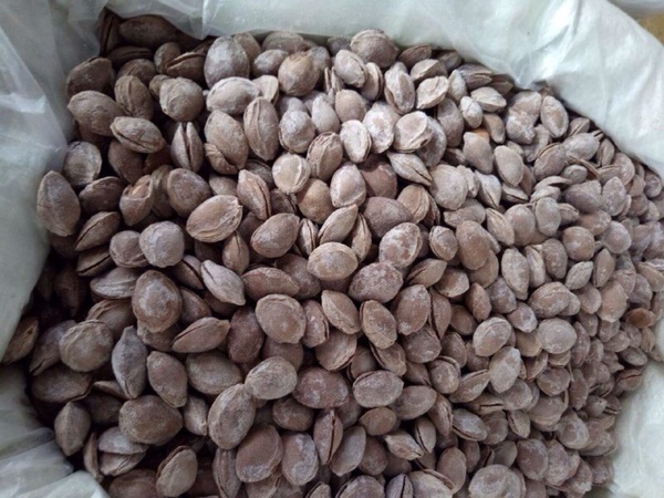 Сухофрукты,фрукты, орех, бобовые