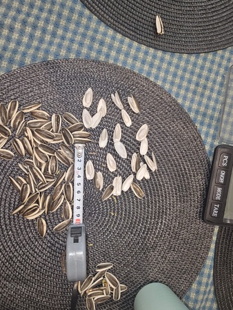 Семечка кондитерская (снеки), полосатая коричневая