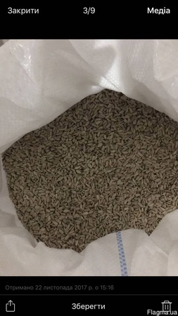 Soyulmuş ayçekirdeği