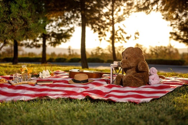Домашний плед, плед для пикника