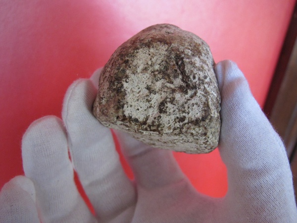 Амбра кашалота