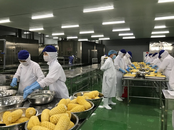 Замороженный Ананас кольца. Замороженные фрукты с заводов OLMISH