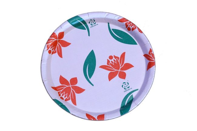 Одноразовая посуда 100% без пластика