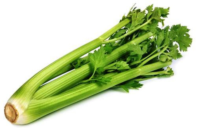 Сельдерей черешковый свежий