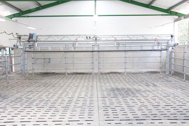 Подгонщик для коров