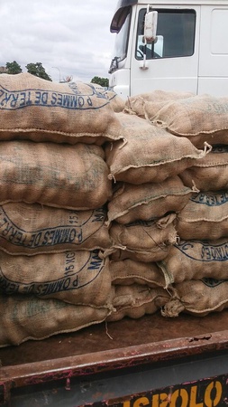 Свежие фрукты и овощи из Марокко