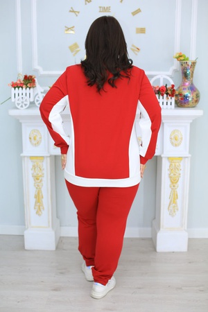 Костюм №0316