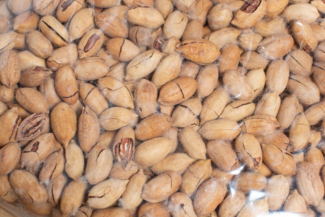 Pecan in shell - Mexico