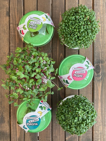 Набор для выращивания "Моя микрозелень"