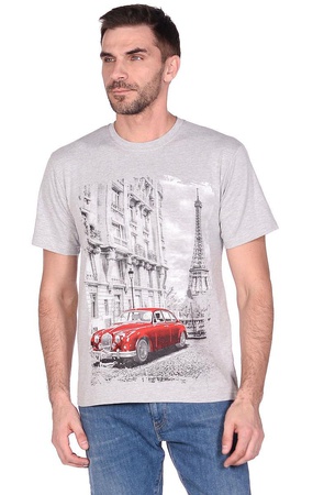 Футболка мужская (круглый воротник) серая, принт "Машина" С-0001СС