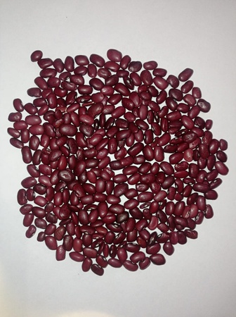 Фасоль красная томатная