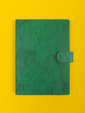 Папка органайзер для документов, семейные документы ПДТ-400