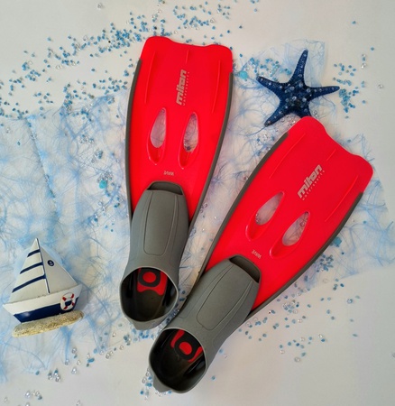 Dalış Aksesuarları